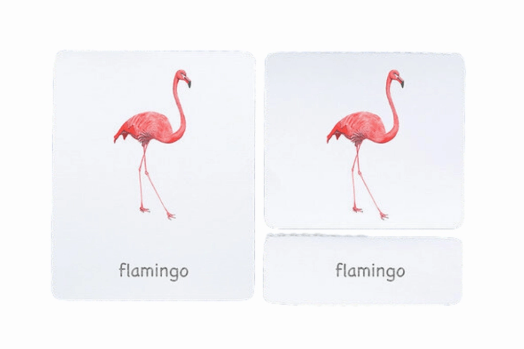 Day Night Cycle Resource Conservation 3-Part Language Cards (Watercolour) (Multiple Themes Available)