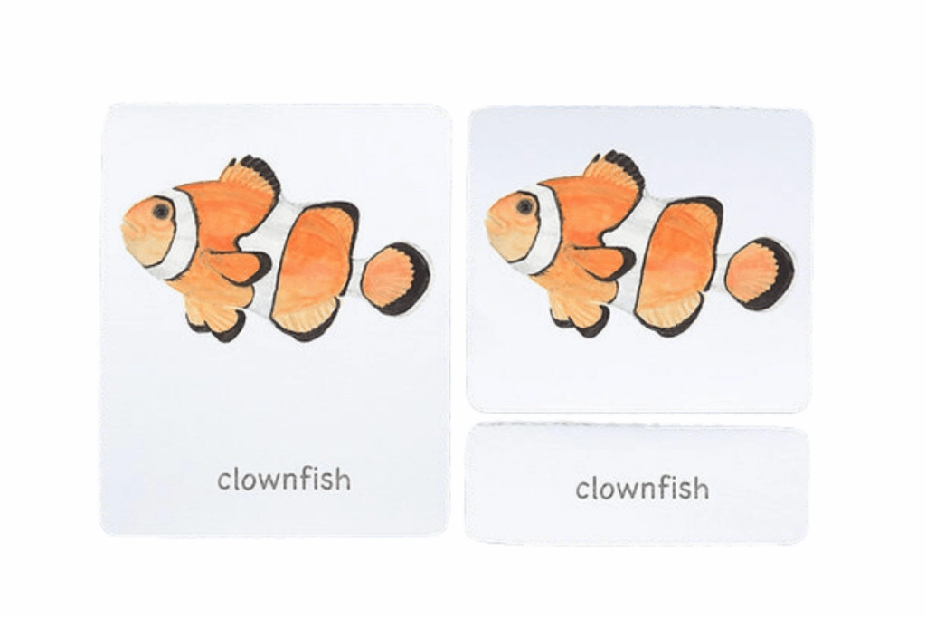 Road System 3-Part Language Cards (Watercolour) (Multiple Themes Available)