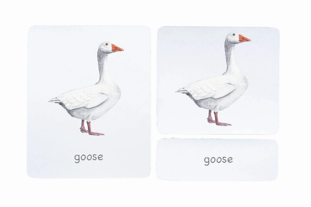 Wood Working Calculus Concept 3-Part Language Cards (Watercolour) (Multiple Themes Available)