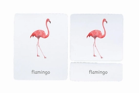 Day Night Cycle Resource Conservation 3-Part Language Cards (Watercolour) (Multiple Themes Available)