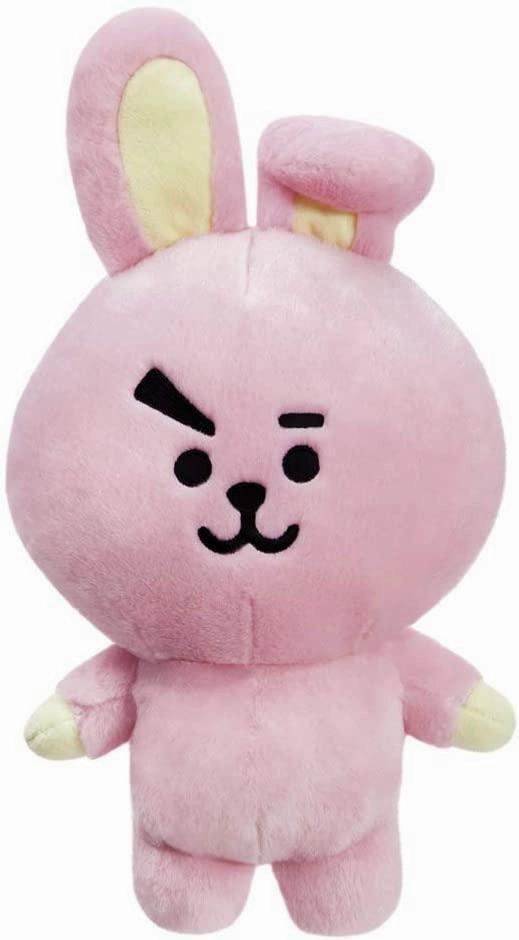 Dragon Companion Money Management AURORA BT21 Cooky Medium 61318 Plush