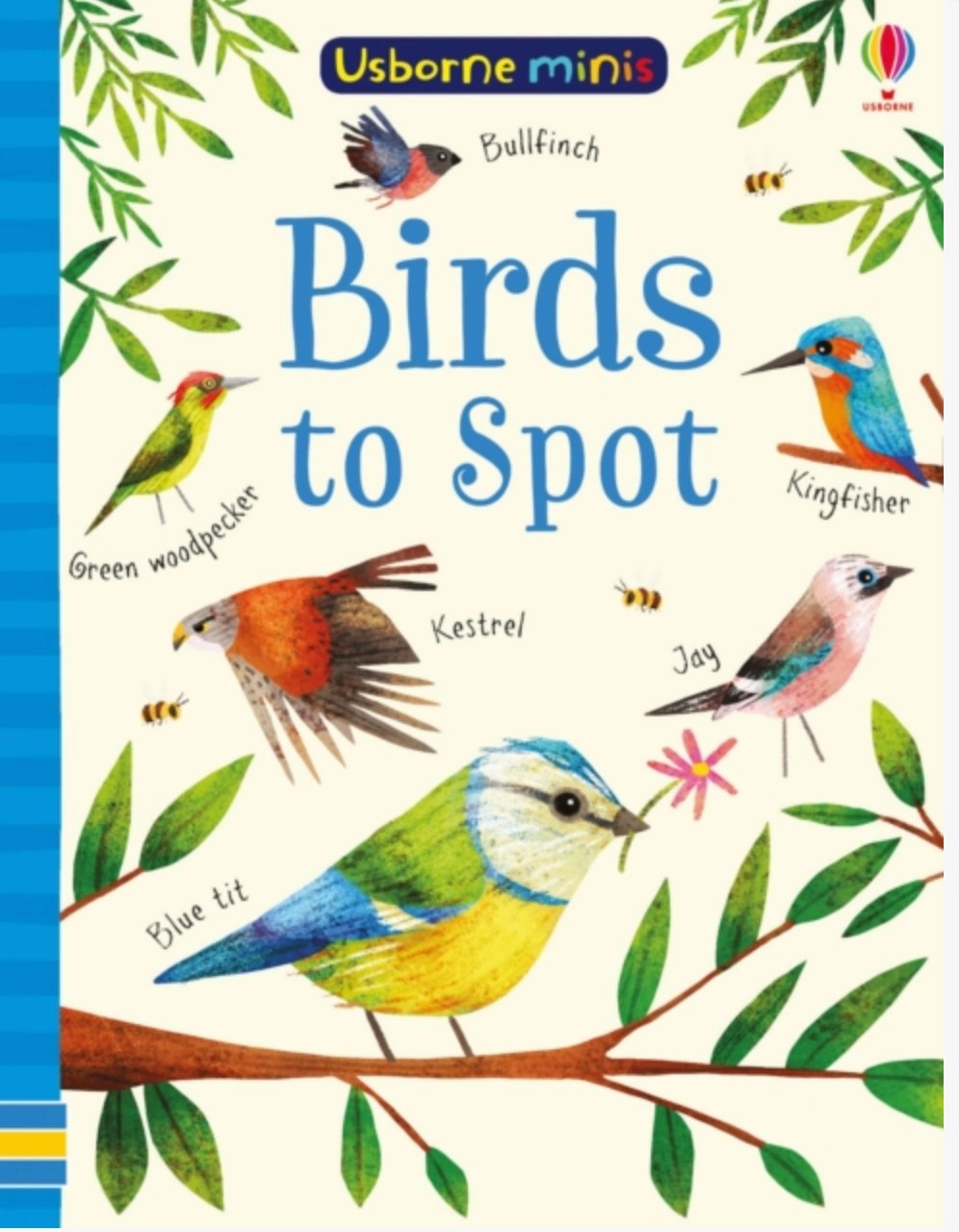 Accessibility Improve Birds to Spot Paperback Book with Stickers