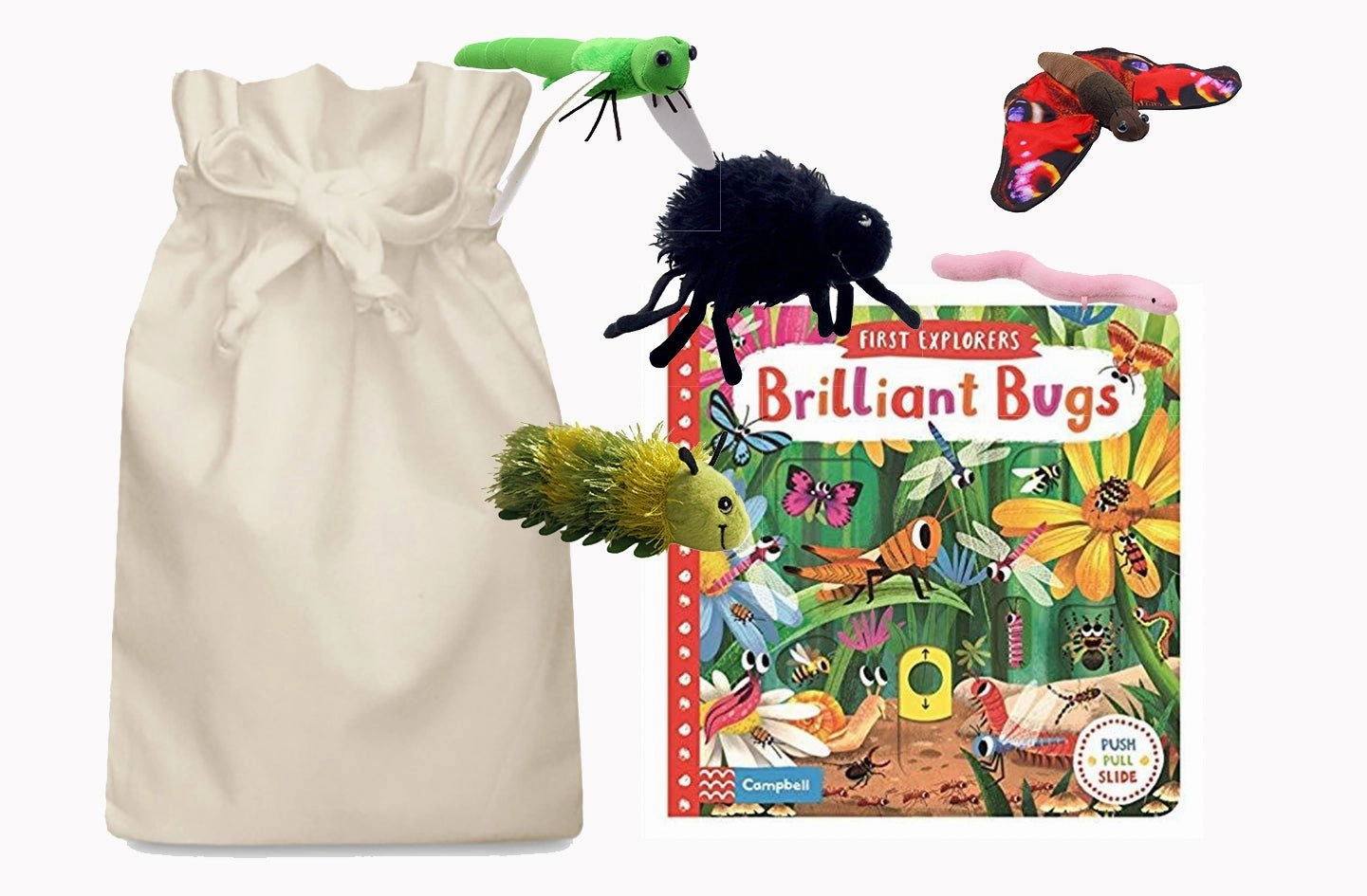 Brilliant Bugs Story Sack with Finger Puppets Obstacle Surmount