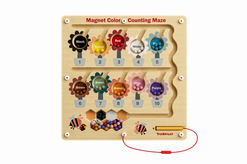 Busy Bee Magnetic Maze Carbon Cycle