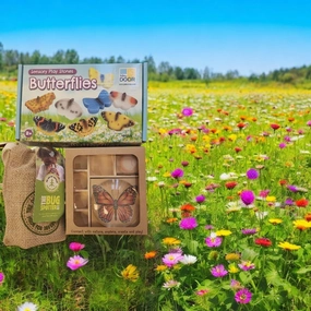 Butterfly and Bug Themed Set Voice Acting