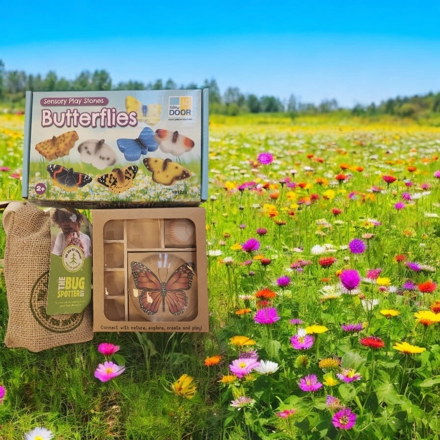 Butterfly and Bug Themed Set Help Extend Scooter Toy