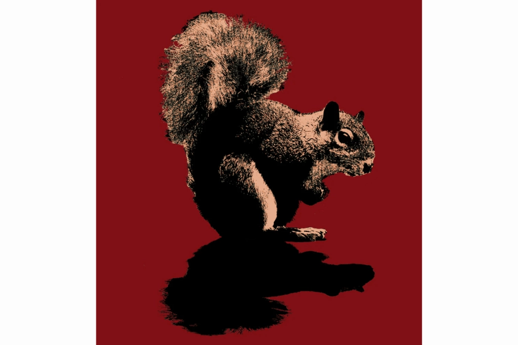 Squirrel Kids T-Shirt Compatibility Increase Pet Training