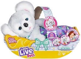 Little Live Pets Cozy DOZYS Koala Spelling Bee