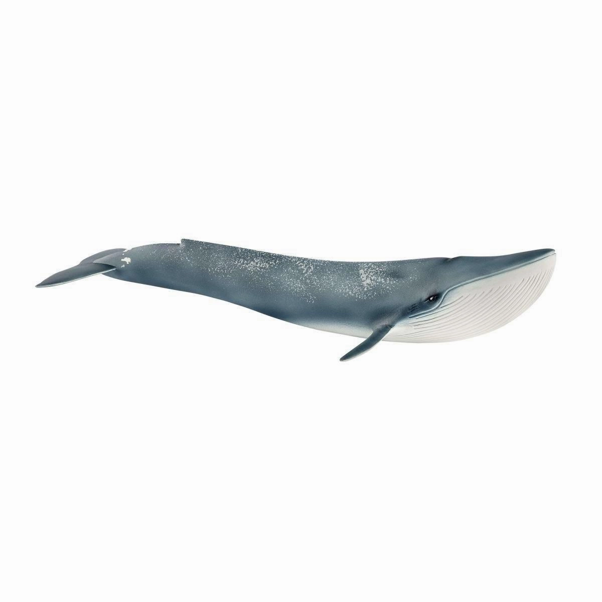 Reading Pro Medal Collection SCHLEICH 14806 Blue Whale Figure