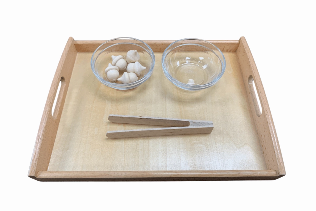 Montessori Tonging Activity - Acorns - includes Tongs, Tray, Bowls and Wooden Acorns Future Scientist