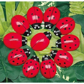 Butterfly Garden Impact Make Yellow Door Ladybugs Counting Stones