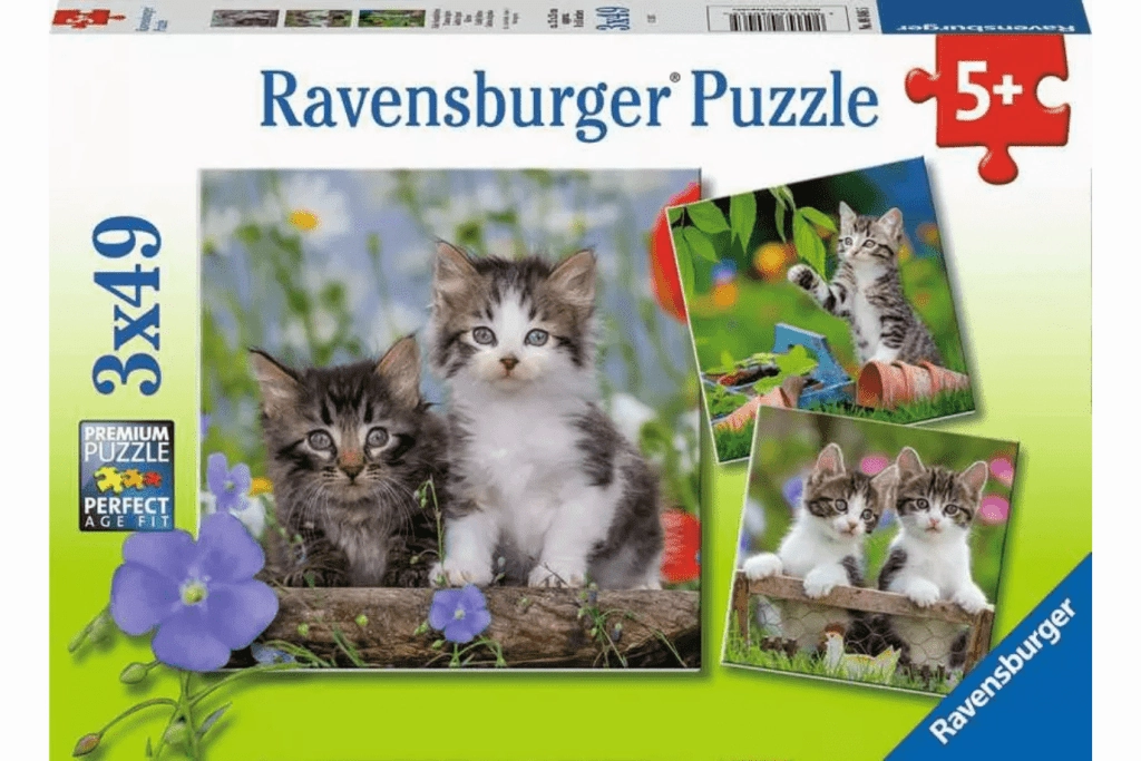 Family Time Cuddly Kittens - 3 x 49pc Puzzles