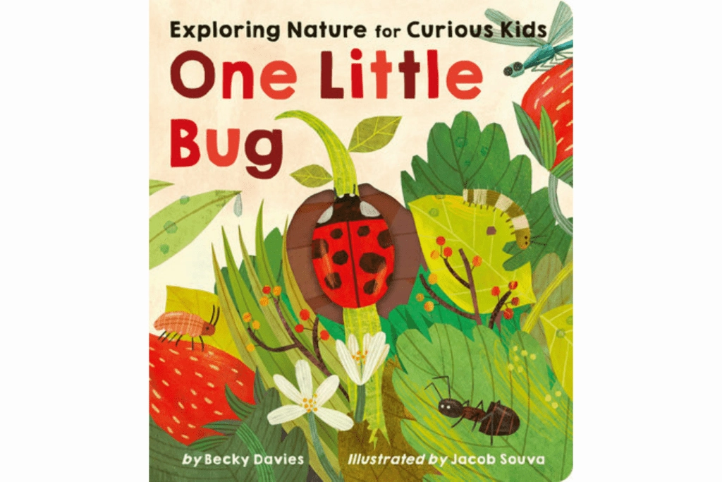 Diving Set One Little Bug by Becky Davies [Board book]