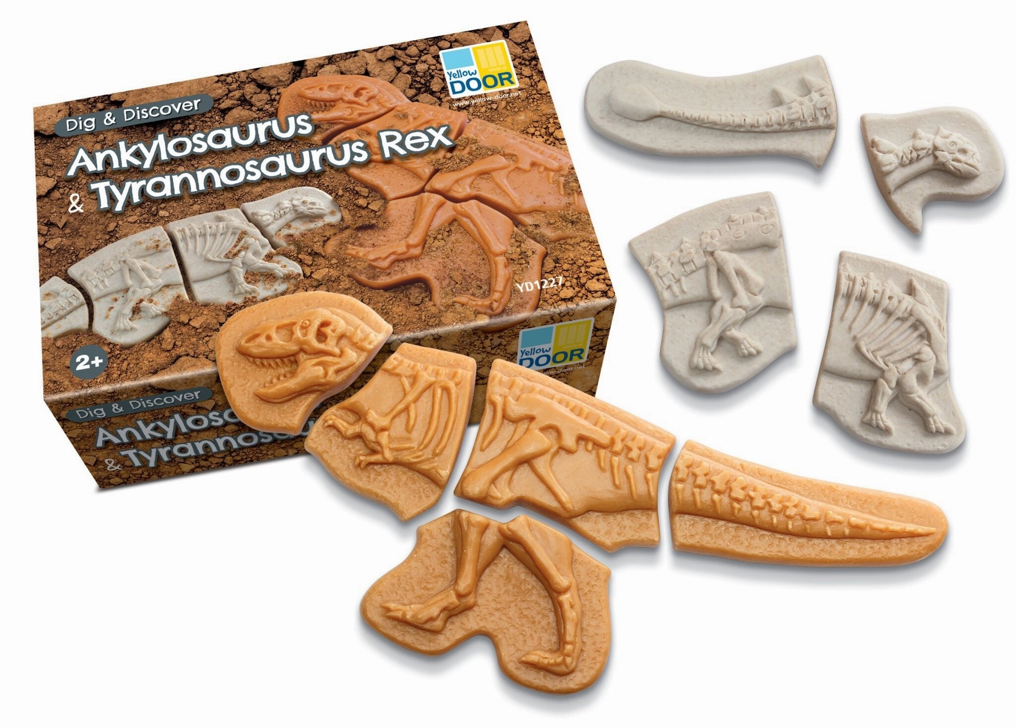 Dig & Discover  Ankylosaurus & Tyrannosaurus rex Public Speaking Experiment Box