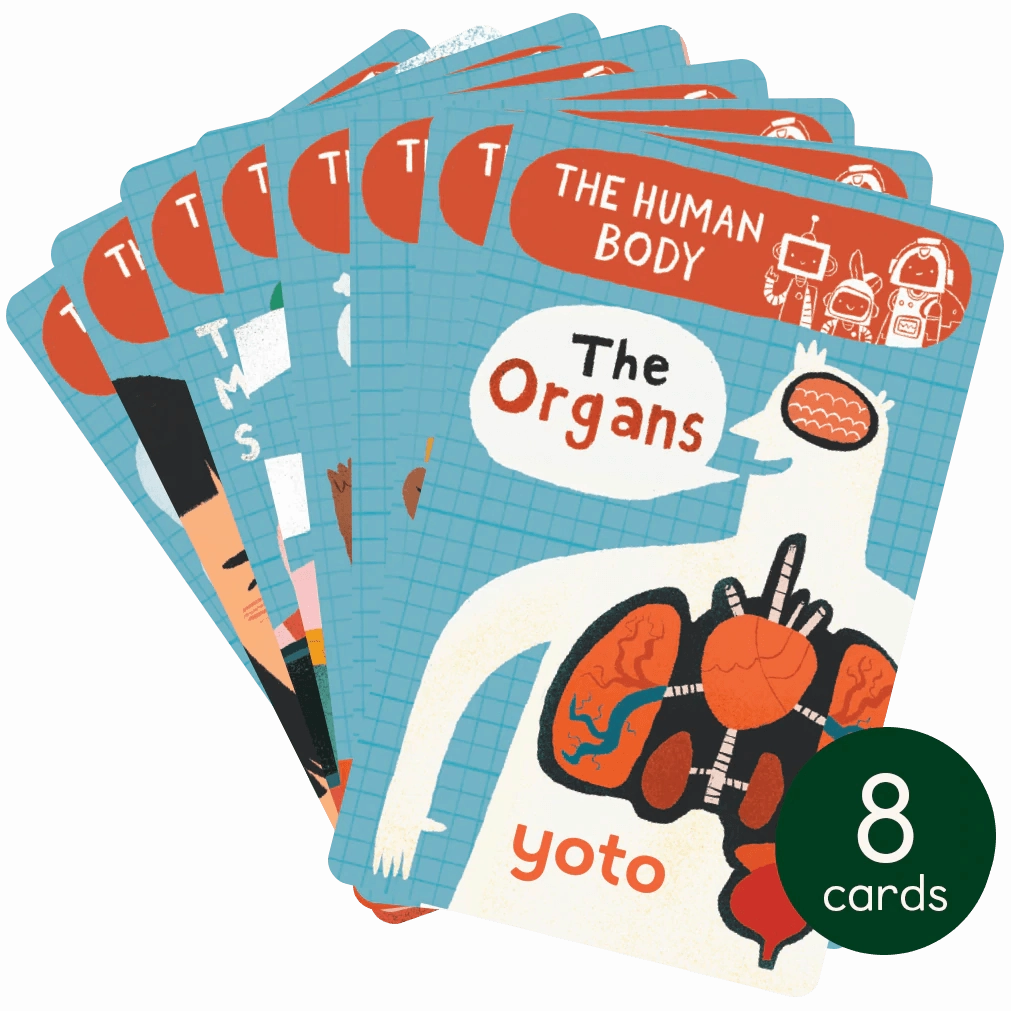 Lab Safety Rest Position Yoto Brain Bots: The Human Body Set of 8 Audio Cards