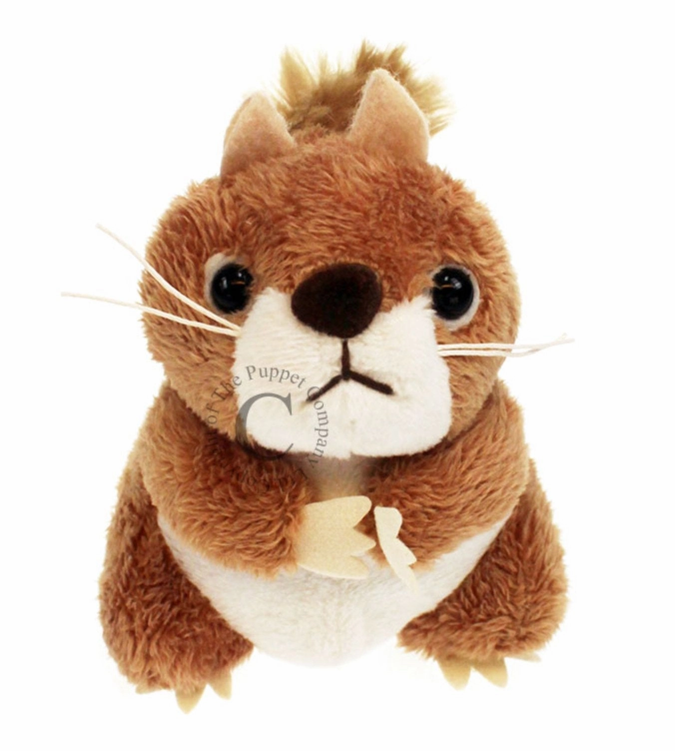 Puppet Company Squirrel - Red Finger Puppet Championship Win