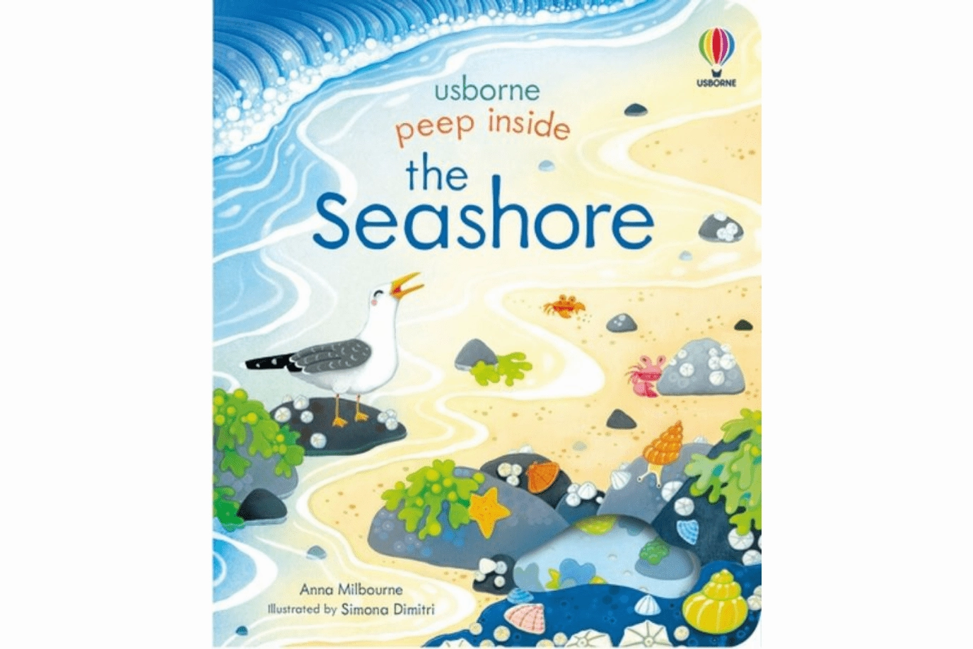 Peep Inside The Seashore Charity Perform