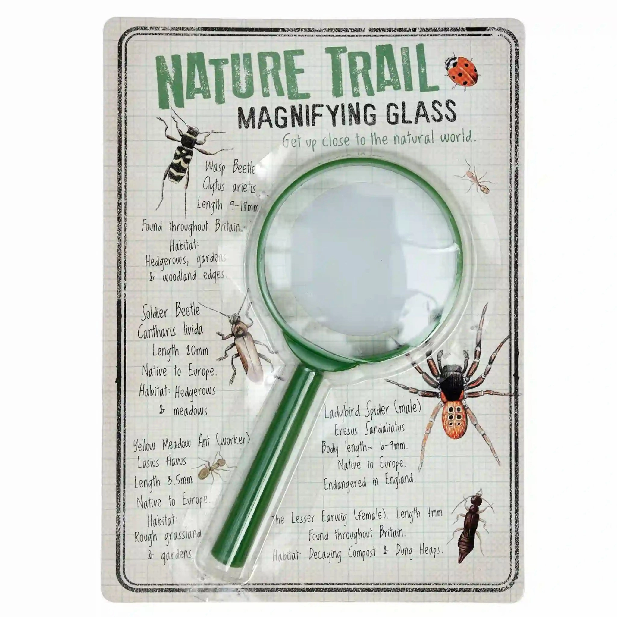 Reward system Data Structure Nature Trail Magnifying Glass