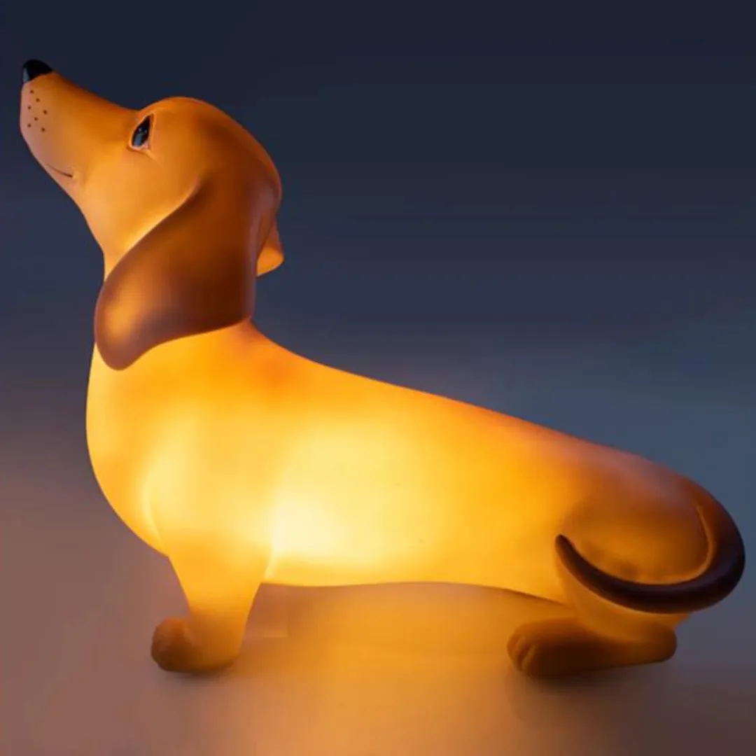 Dachshund Table Lamp Calming Sensory Light Beach Day