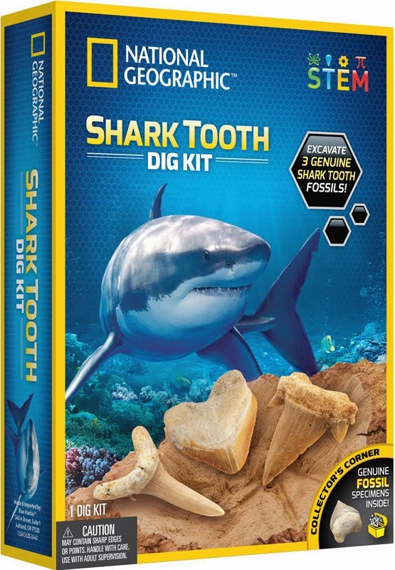 Satellite Model Castle Building National Geographic Shark Tooth Dig Kit