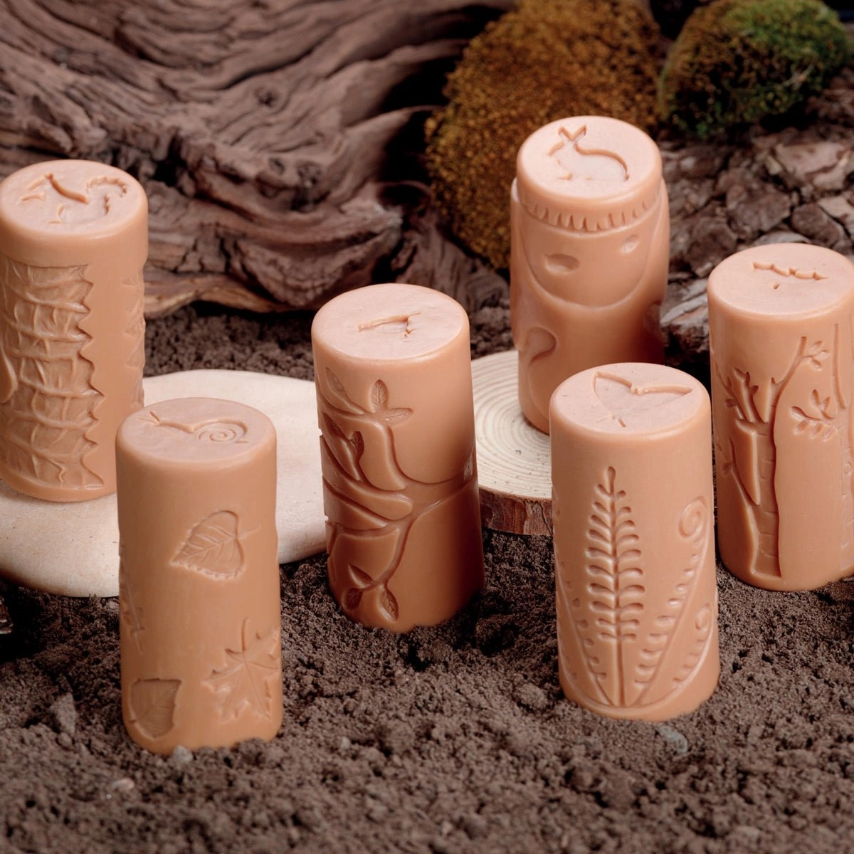 Yellow Door Let's Roll Forest Friends YD1155 Magic Search Food Chain