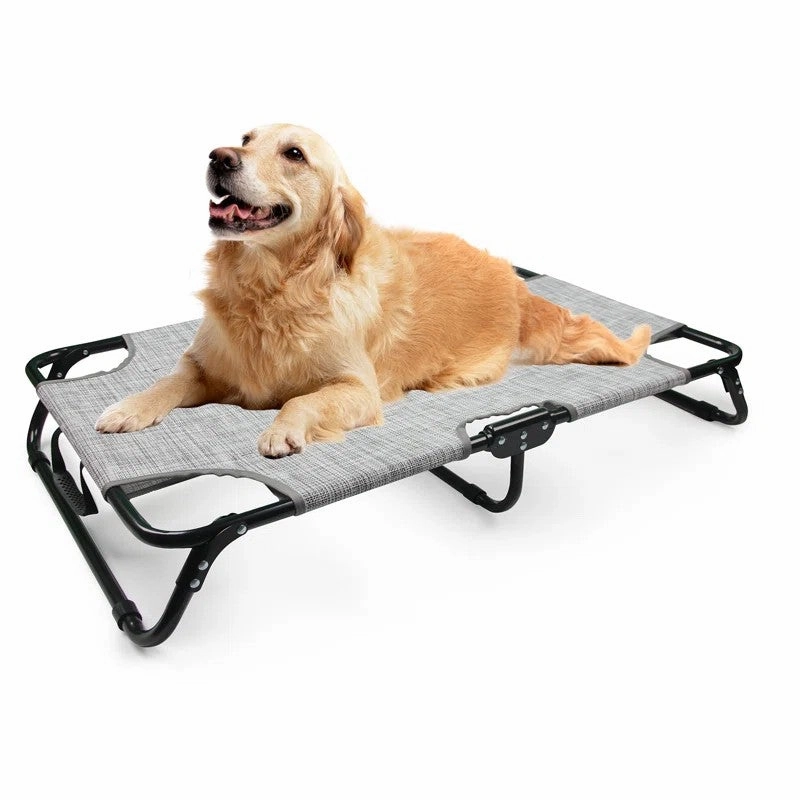 Sensory Exploration Elevated Dog Bed - Foldable Pet Beds with No Assembly for Indoor & Outdoor Use
