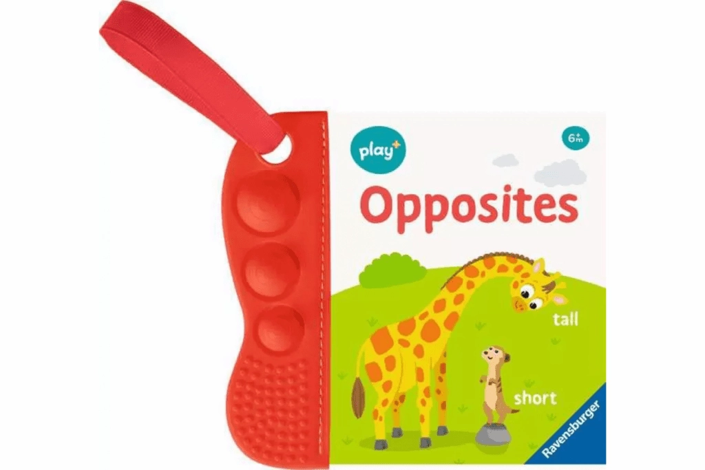 Flip & Pop Opposites Book Forgiveness Grant