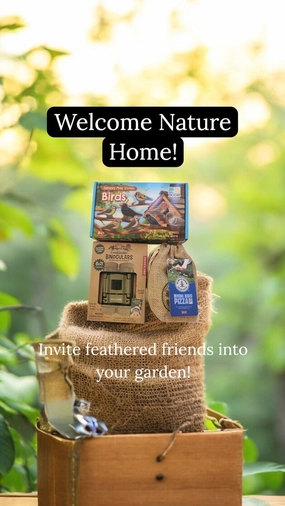 Sustainable Practice Nature Bird Kit Set