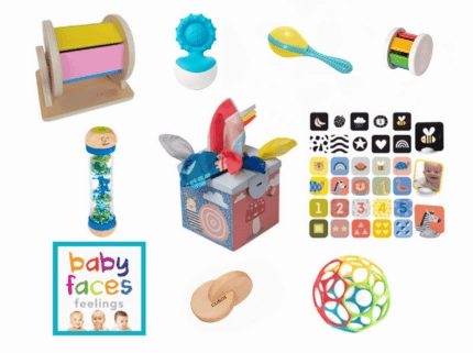 Seasonal Fun Wildlife Guard Infant Montessori Box [0-6 Months]