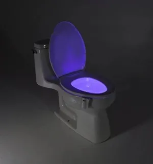 Update Release Assignment Submit LED Disco Motion Activated Toilet Light Lamp