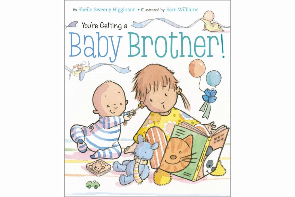 You're Getting a Baby Brother! By Sheila Sweeny Higginson [Board book] Mountain Formation