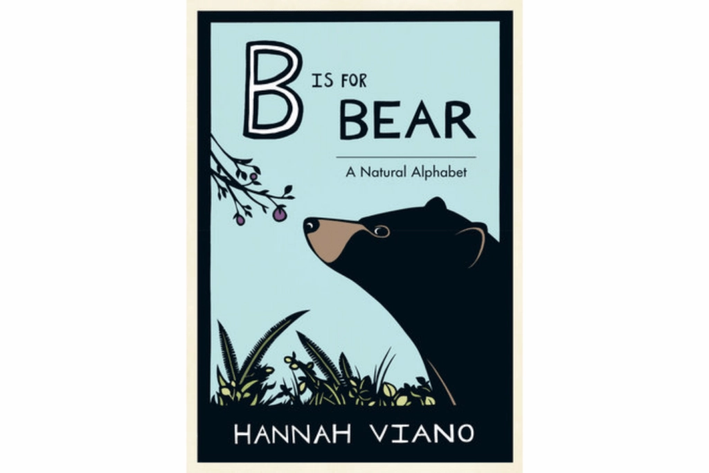 Adventure Gear B Is For Bear by Hannah Viano [Hardcover]