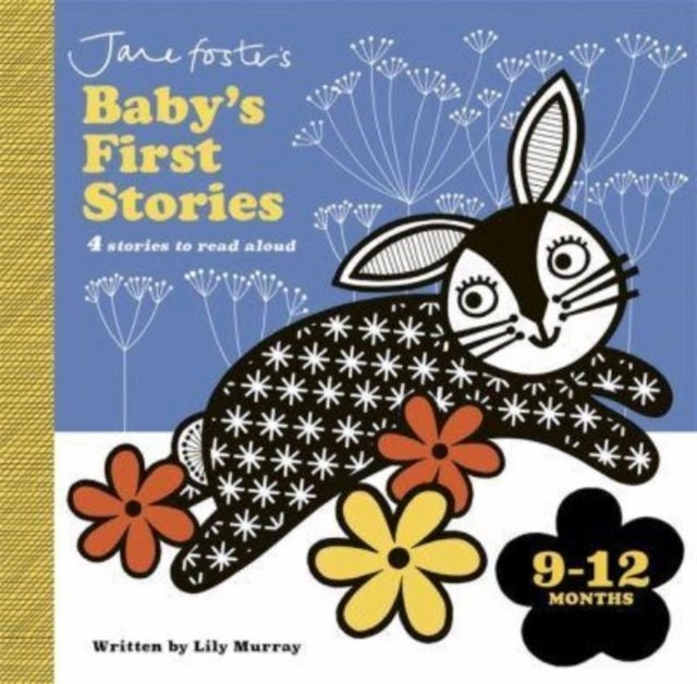 Jane Fosters Baby's First Stories Board Book Educational Fun Climate Change