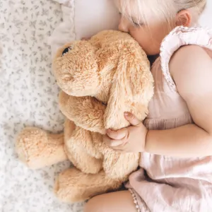 Charlie The Weighted Sensory Puppy Dog Office Set