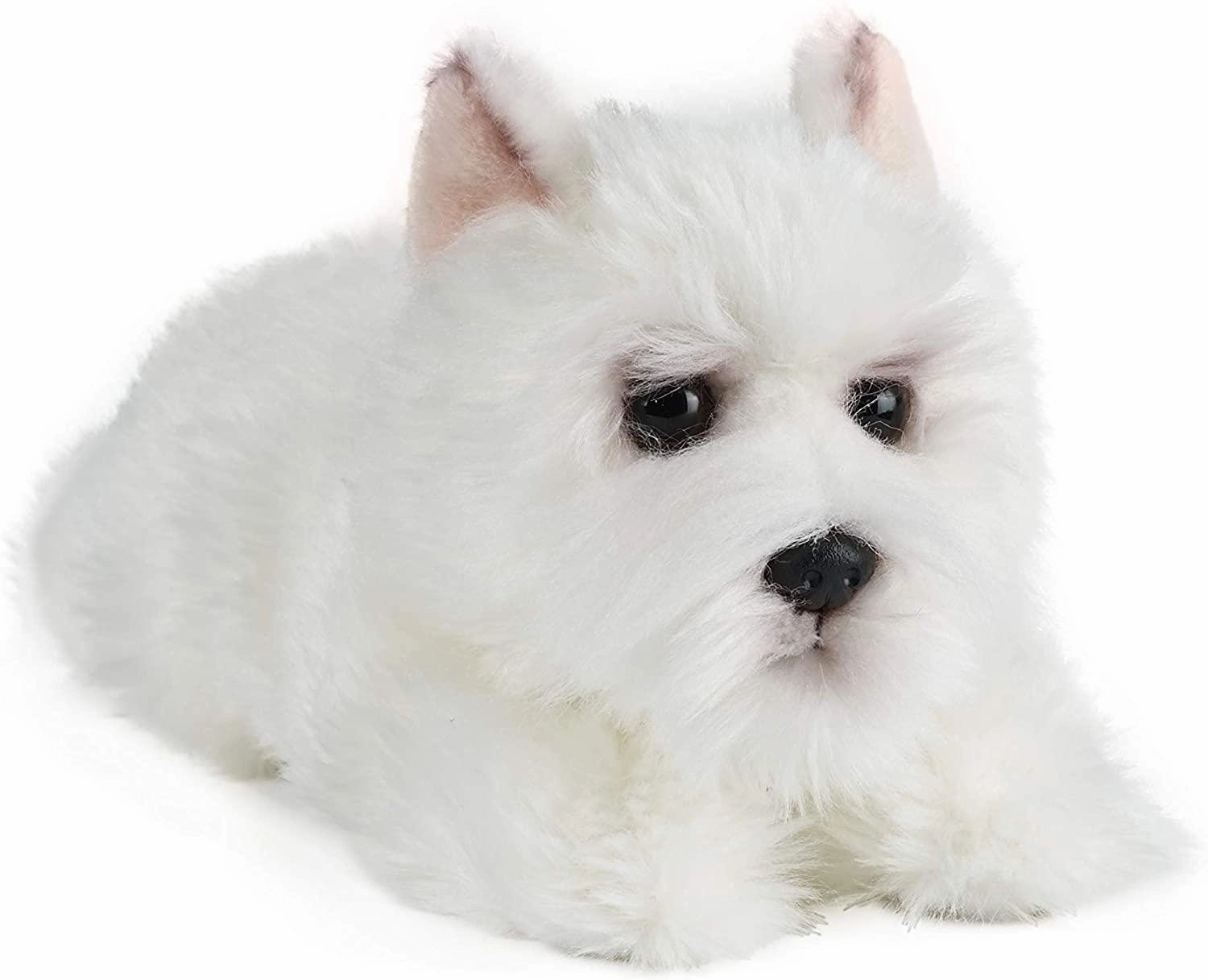 LIVING NATURE Soft Toy - Plush Pet Puppy, One Supplied (23cm) Movie Star Microscope Set