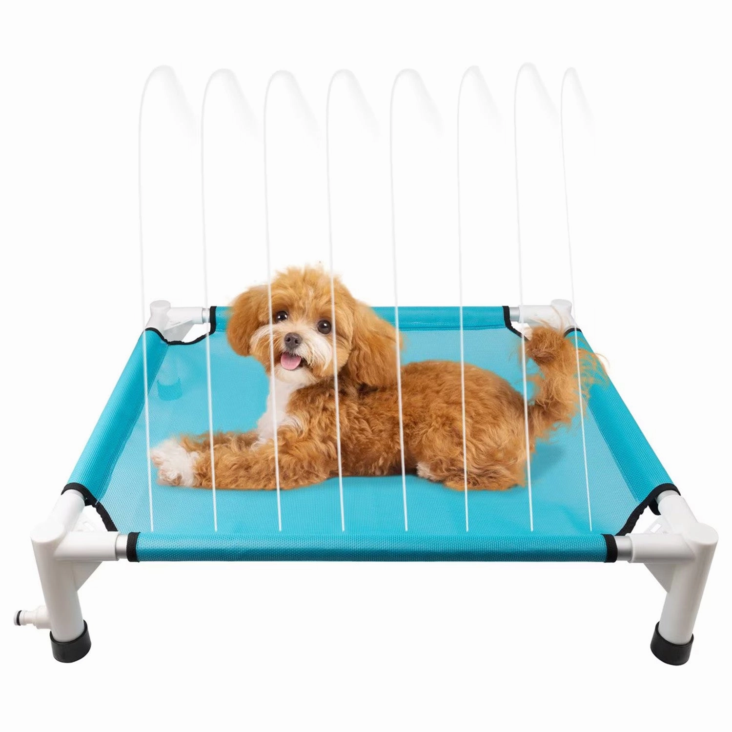 Chill Out - Sprinkling Pet Cot for Summer Consciousness Expand Budding Musician
