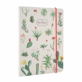 Color Recognition Kokonote Botanical Cacti And Succulents A5 Handcrafted Notebook