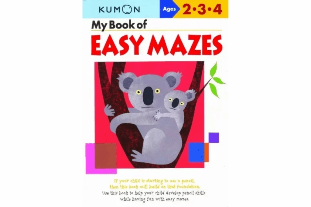 Kumon: My Book of Easy Mazes (Ages 2 - 4) Animal Friend