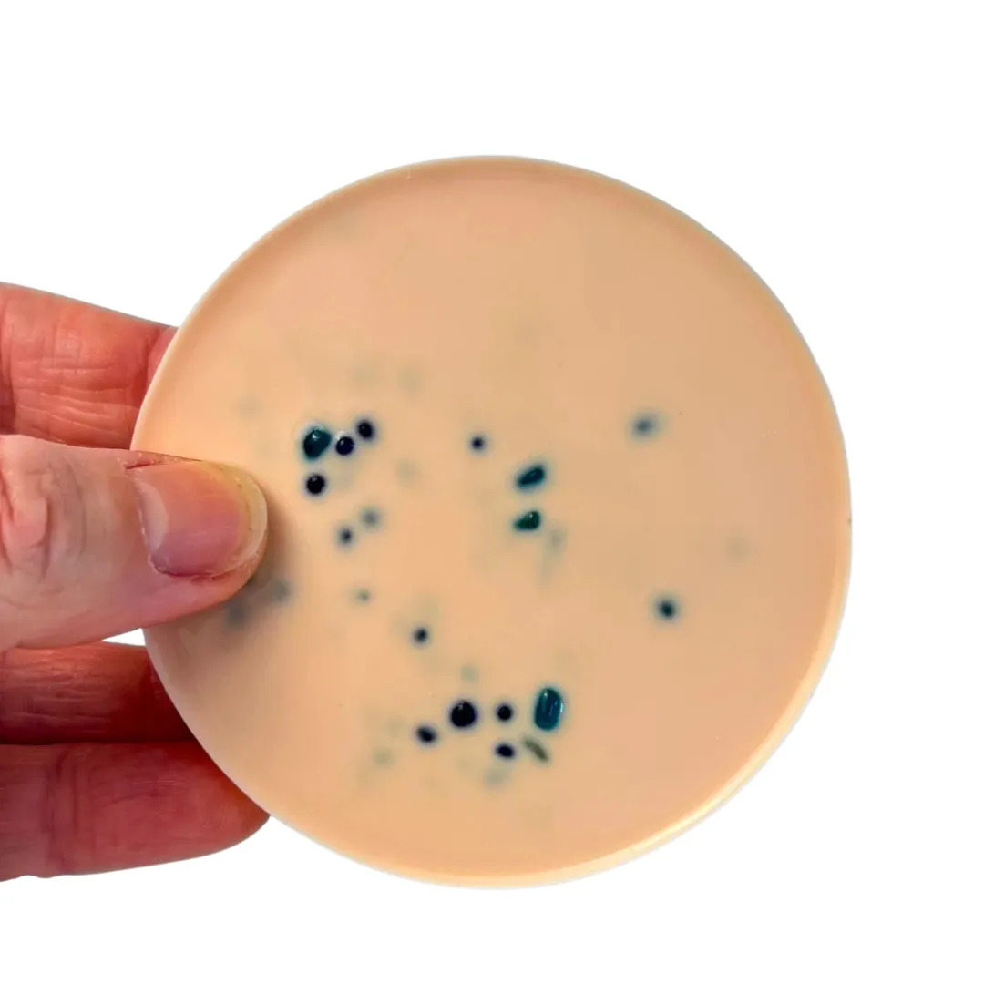 Sensory Picky Pad ?C Skin | Skin-Like Textured Reusable Fidget Pad Value Increase Cheers Hear