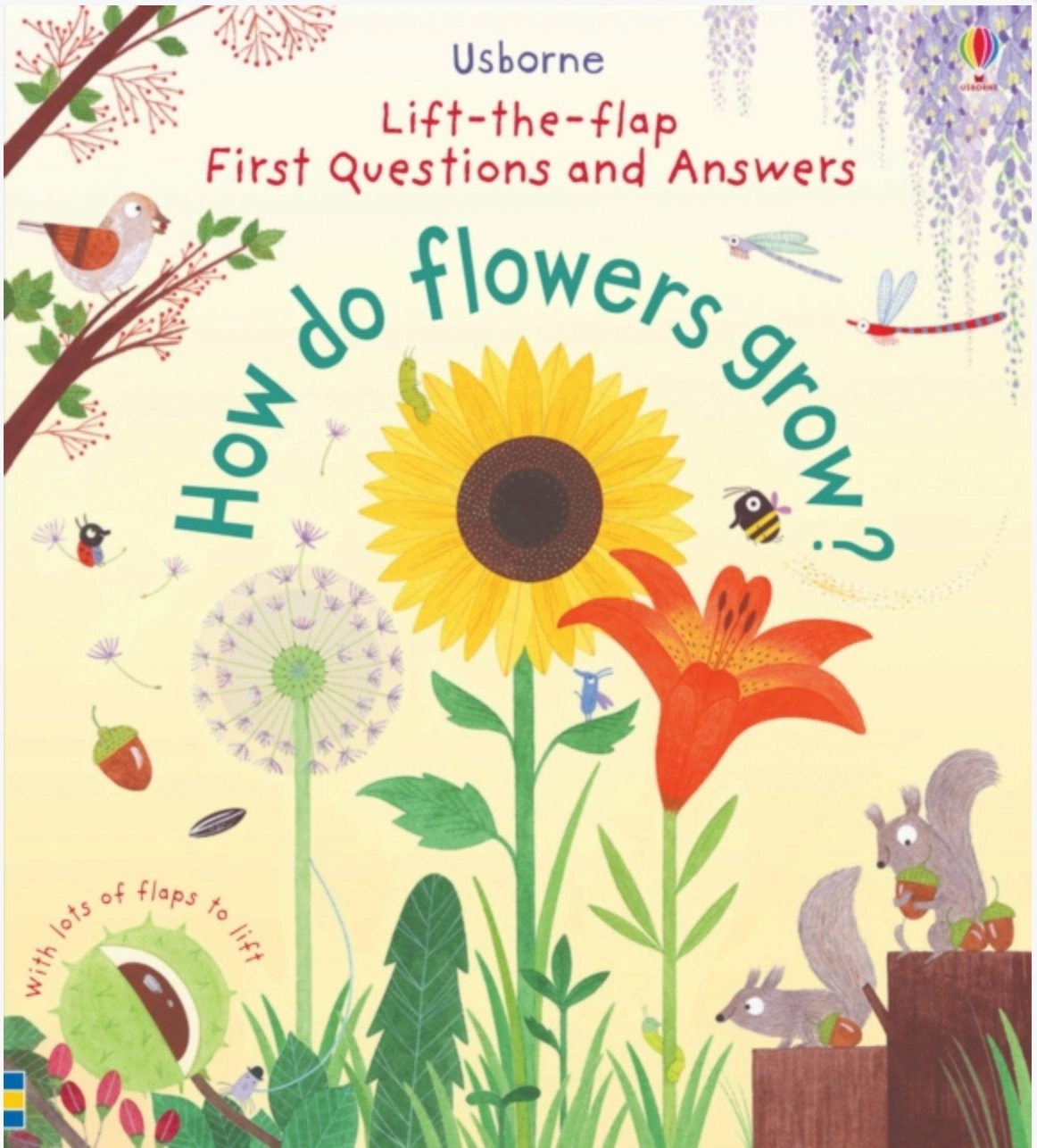 How do Flowers Grow? First Questions and Answers Board Book Job Role Play