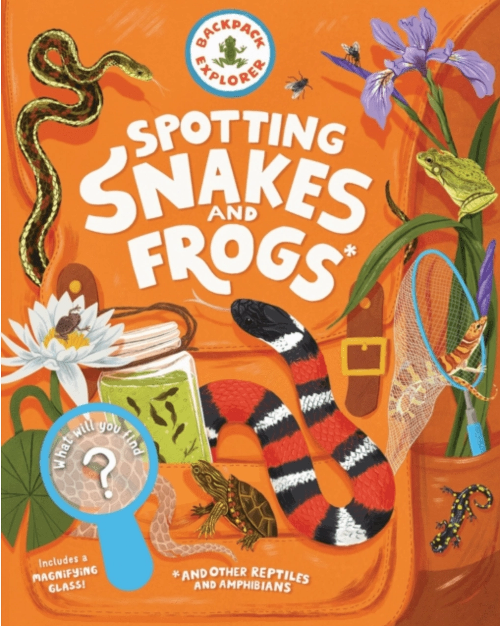 Spotting Snakes and Frogs, and Other Reptiles and Amphibians : What Will You Find? Award winning Land Preserve