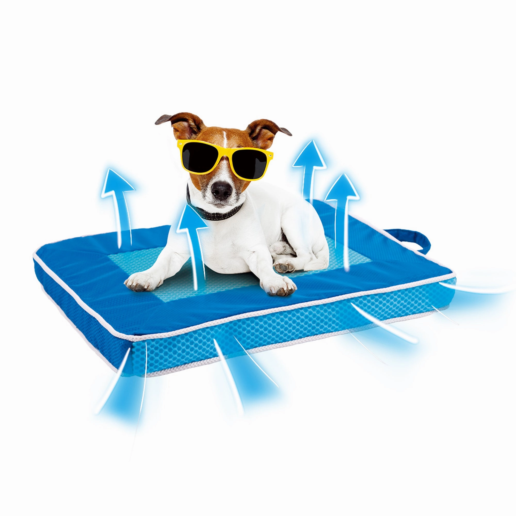 Chill Out - Fresh Breeze Dog Mat-M Composting Kit Permit Grant