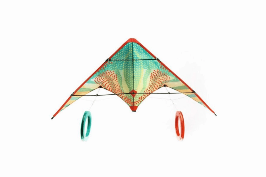 Planet Study Djeco Stunt Kites