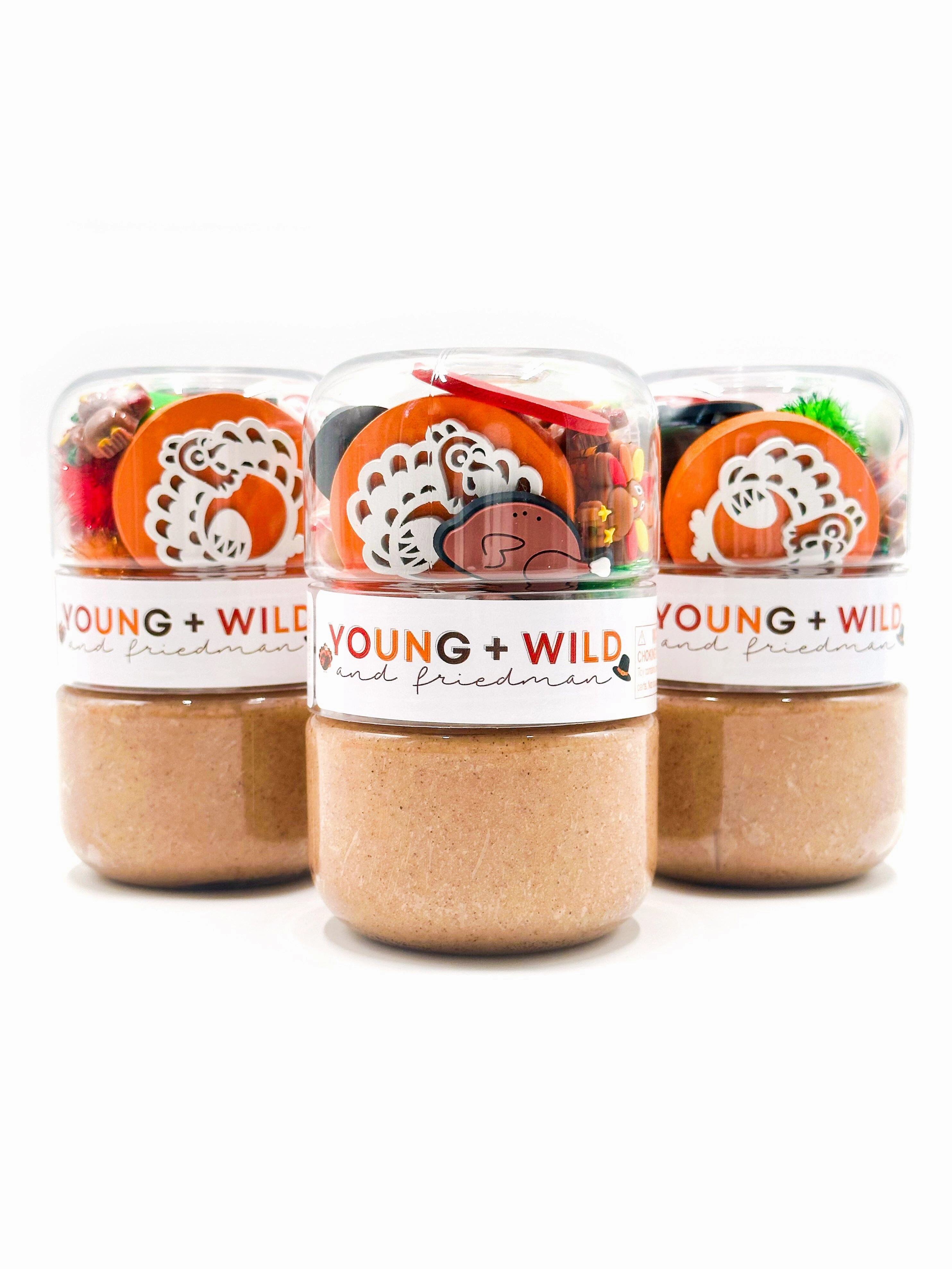 Make a Turkey Grab & Go Dough Jar Adventure Gear Shape Sorter