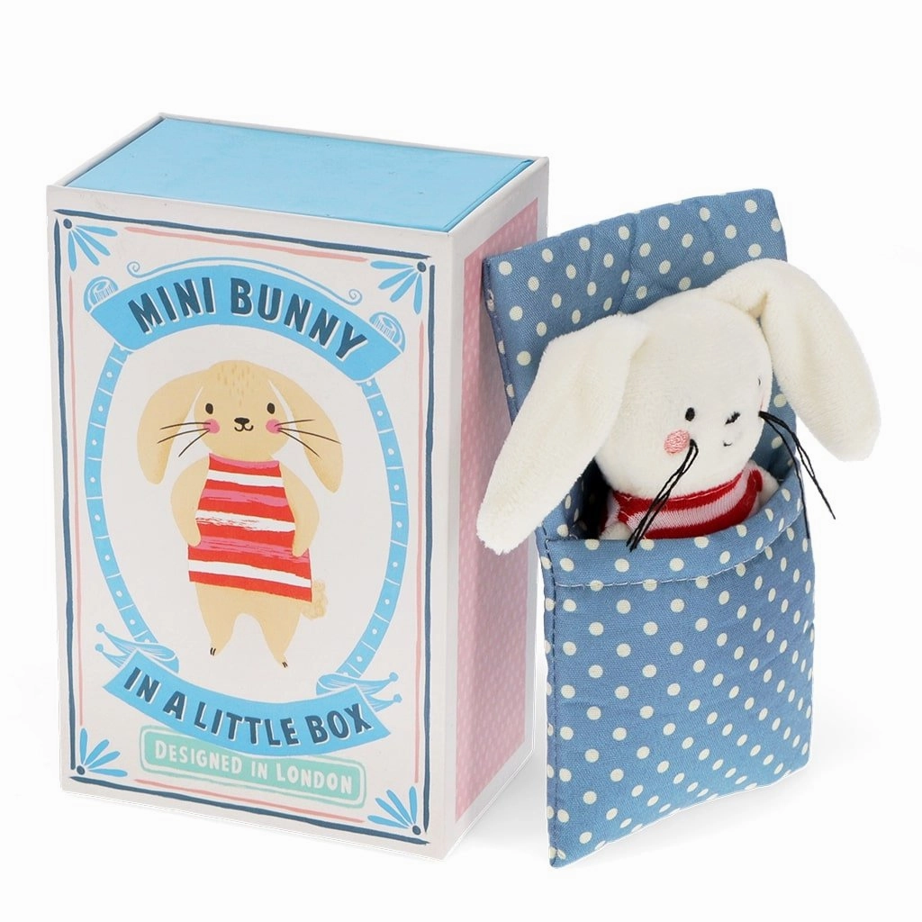 Mini Bunny in a Little Box Meditation aid