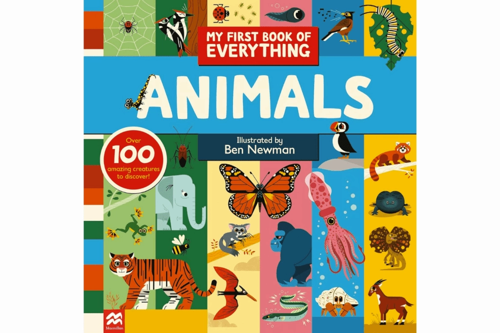 My First Book of Everything: Animals [Hardcover] Drawing Board
