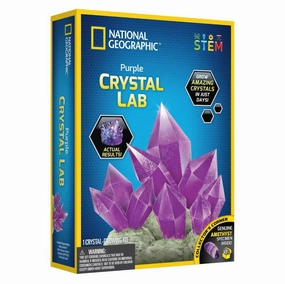 National Geographic Glow In the Dark Crystal Lab Kit - Amethyst Video Recorder