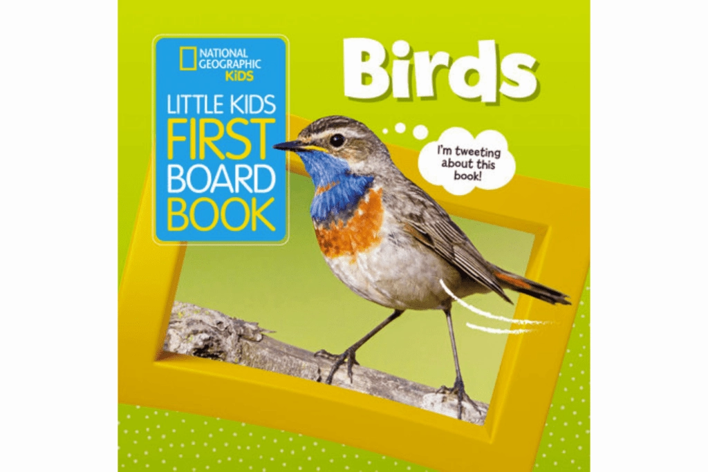 Quest Finished National Geographic's Little Kids First Board Book: Birds