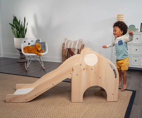 Mindfulness Reach Nima- Elephant Slide Creative SelfRegulation