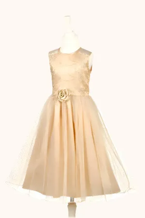 Forest Discovery Noraline Fancy Dress - Special Event Apparel for Girls (3 sizes)